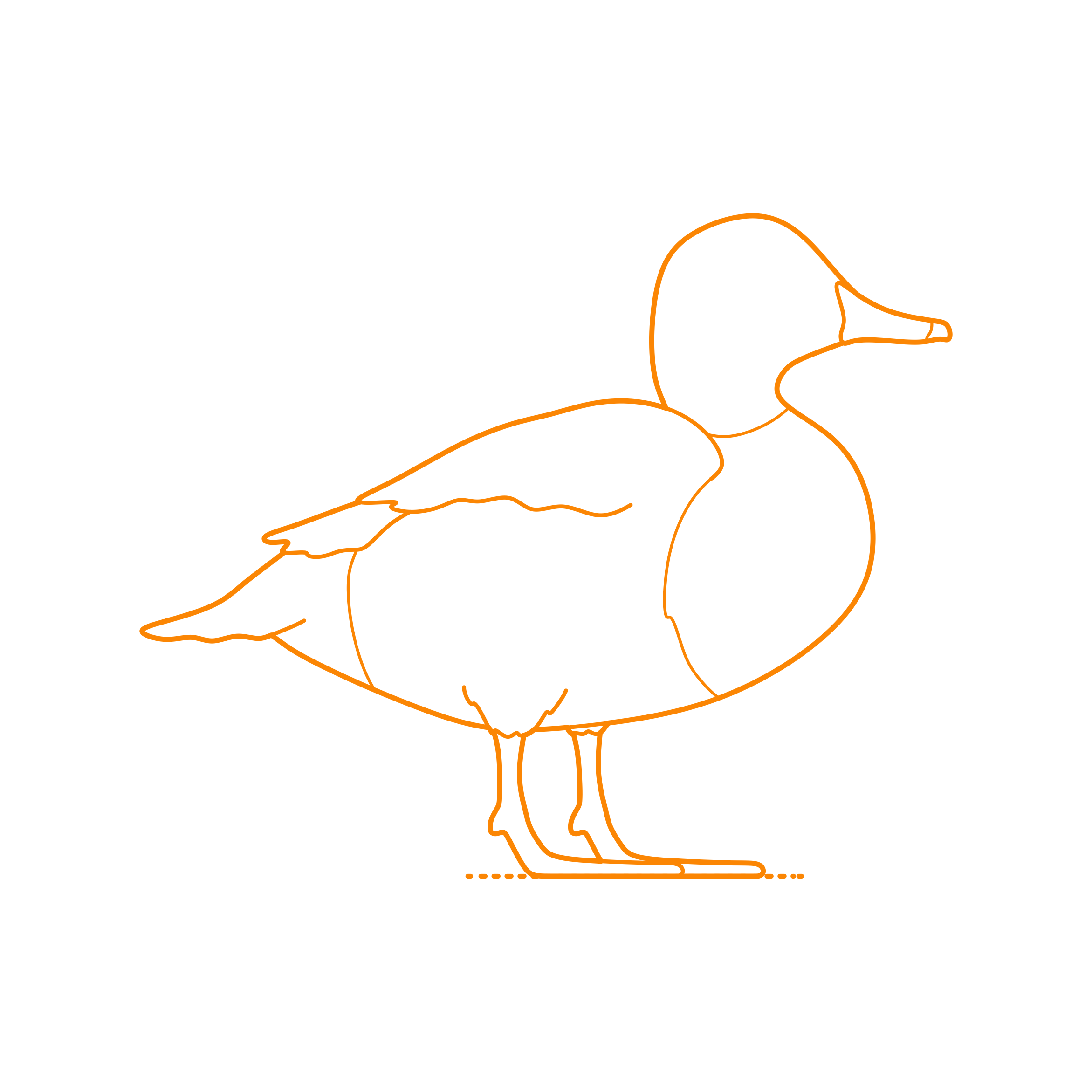 Animals Waterfowl Redhead Duck Editable Svg Line Art Free Vectors